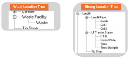 Location Tree Mandalay